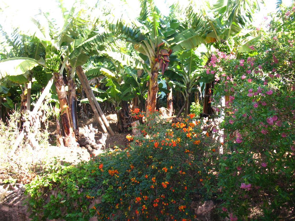 Quinta Sao Goncalo Vila Funchal  Exterior foto